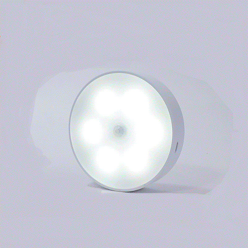 Wireless Motion Sensor Light