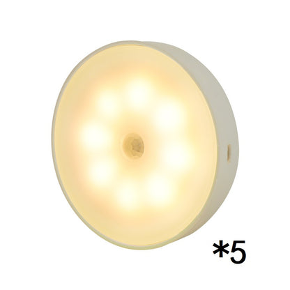Wireless Motion Sensor Light