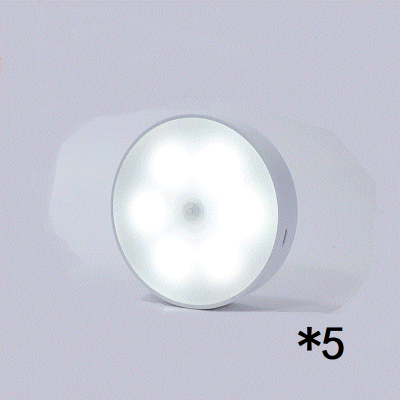 Wireless Motion Sensor Light